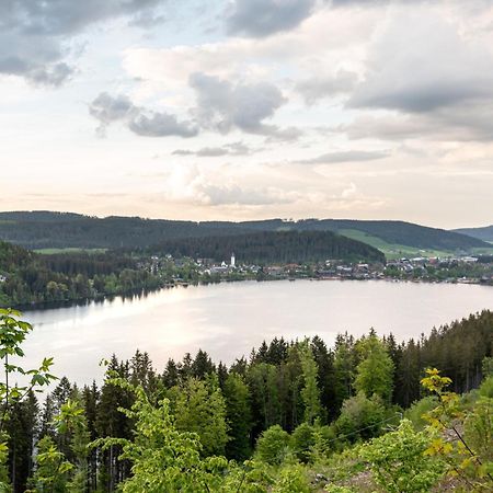 Ferienwohnung Sonnenglueck Mit Grosszuegigem Suedbalkon Lenzkirch Exterior foto